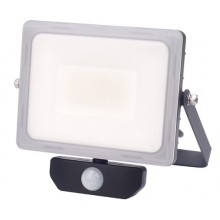 PROIETTORE LED SENS MOVIM + CREPUSC 30W MR